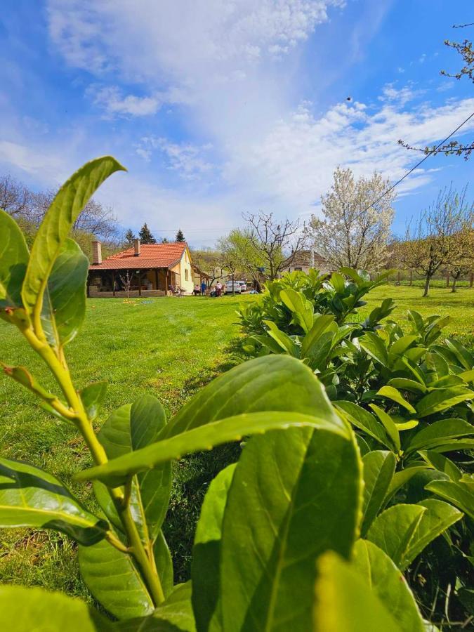 Вілла Fruska House Besenovacki Prnjavor Екстер'єр фото